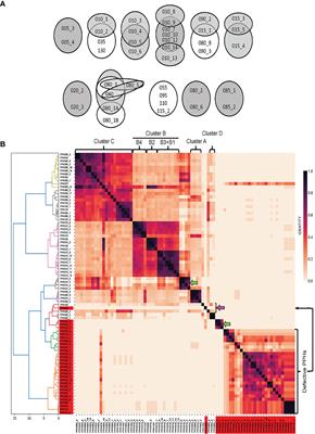 Streptococcus pneumoniae: a Plethora of Temperate Bacteriophages With a Role in Host Genome Rearrangement